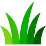 grass