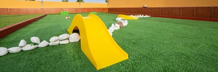 Artificial grass Brisbane