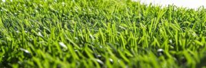 Artificial Turf Brisbane