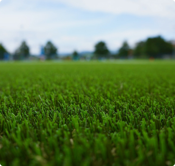 Artificial Turf in Brisbane