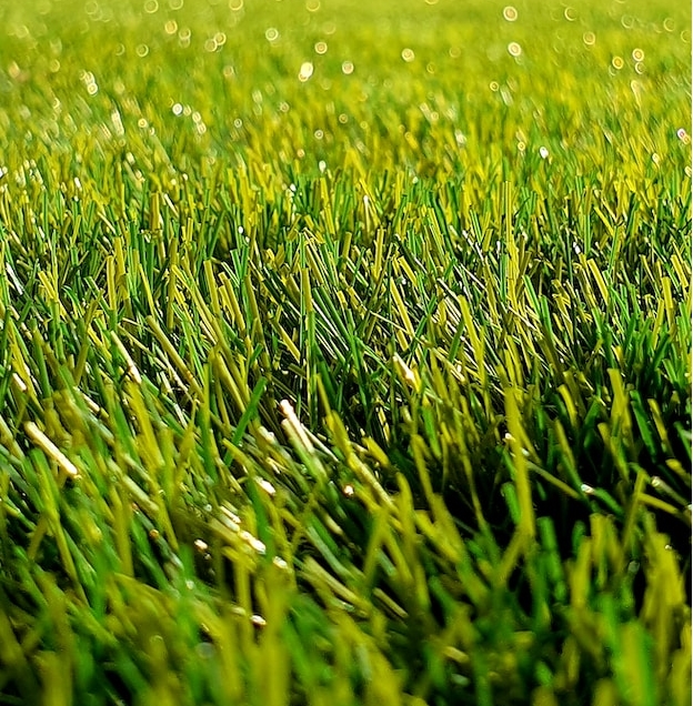 Artificial Turf in Brisbane