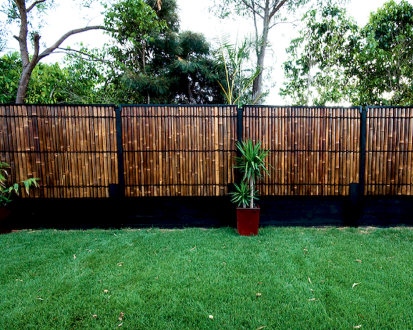 Bamboo Panels