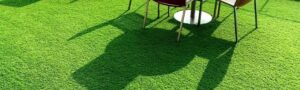 Best Artificial Grass