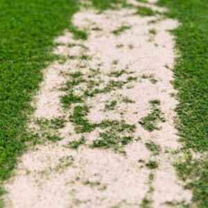 Silica Sand Landscaping