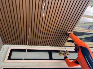 WPC Cladding